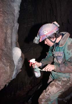 Cavers use spray bottles to perform conservation work removing prints.