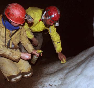 Cavers use spray bottles to perform conservation work removing prints.